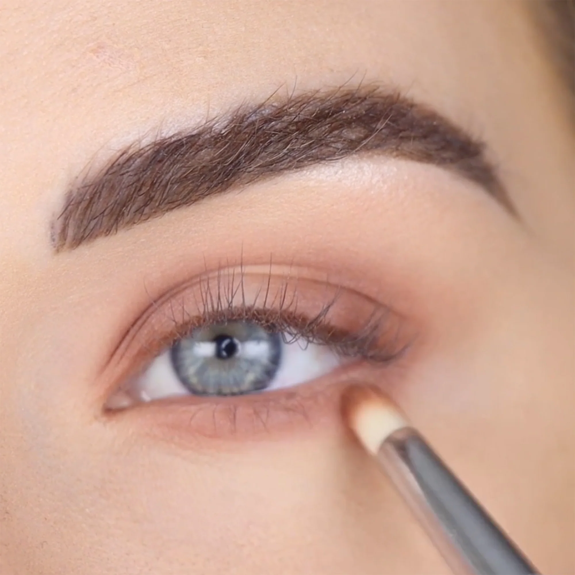 Male Order® First Class Male Eyeshadow Palette - Image 5